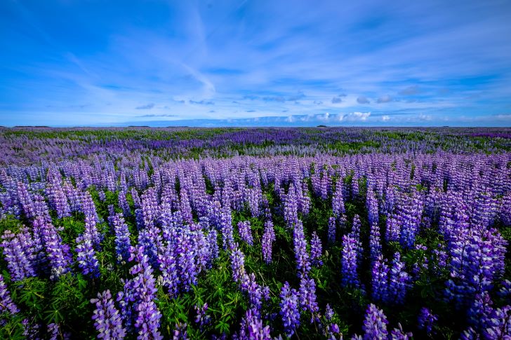 landschapsfoto’s met mooi weer