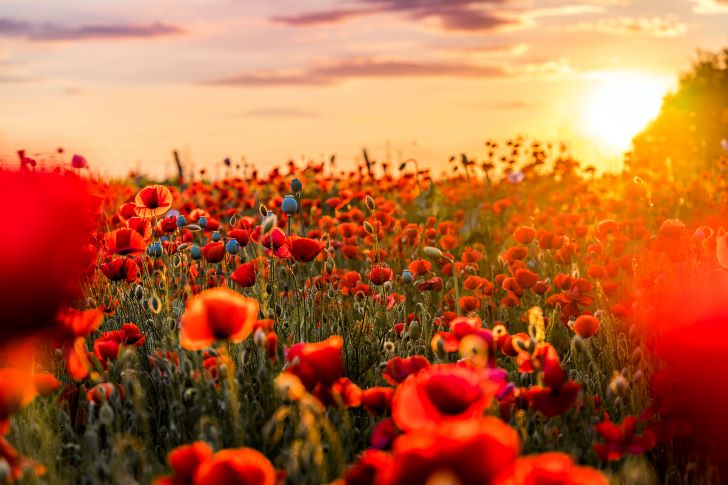 landschapsfoto’s met zonsondergang