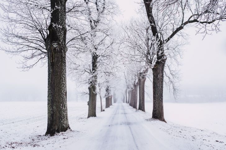 Winter van 2020-2021
